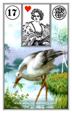 Lenormand Card Meaning - 17 Stork Card