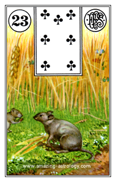 Lenormand Card Meaning - 23 Mice Card