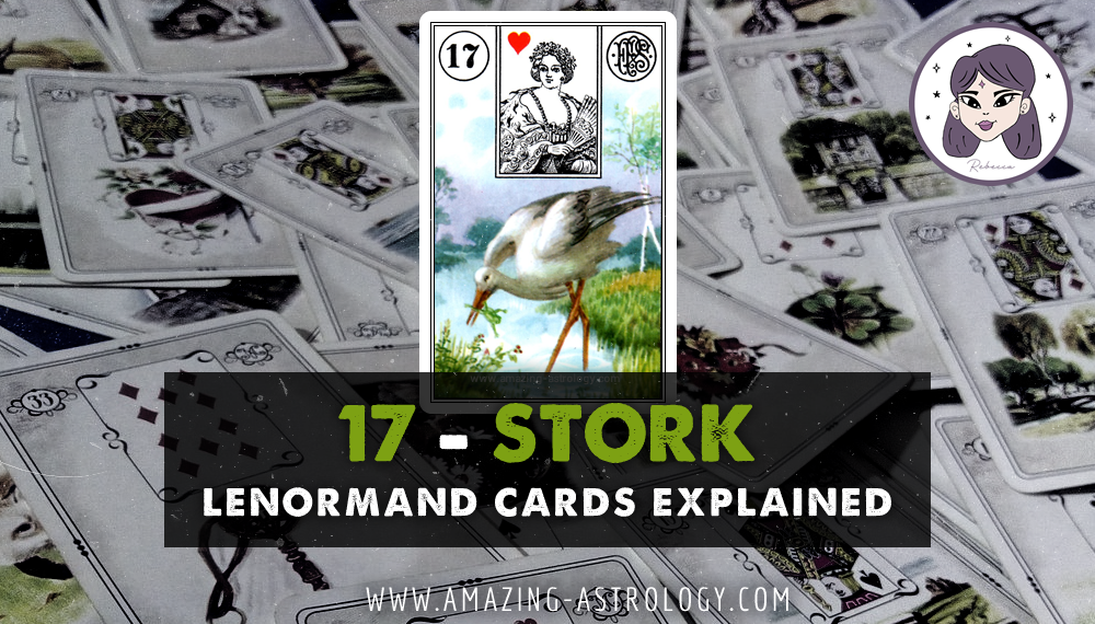 Lenormand Card Meaning - 17 Stork Card