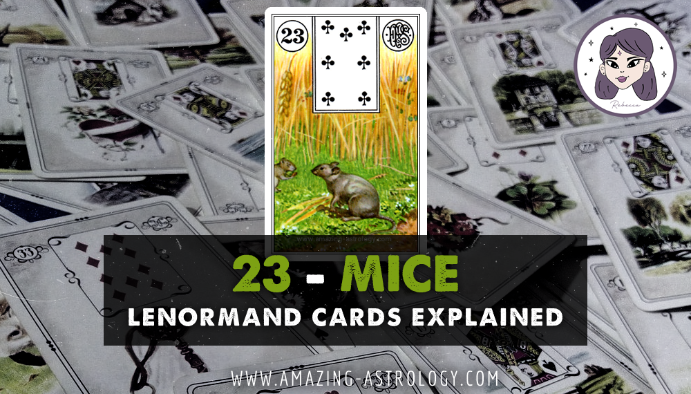 Lenormand Card Meaning - 23 Mice Card